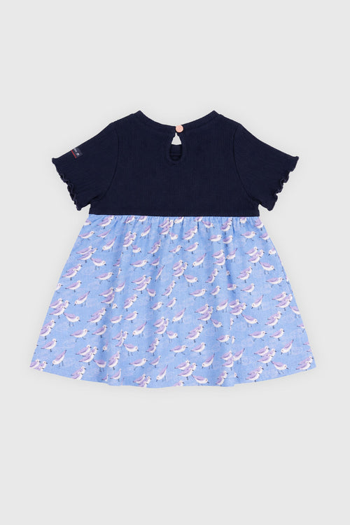 armor-lux-robe-b-b-mouettes-t-coton-et-gaze image 3