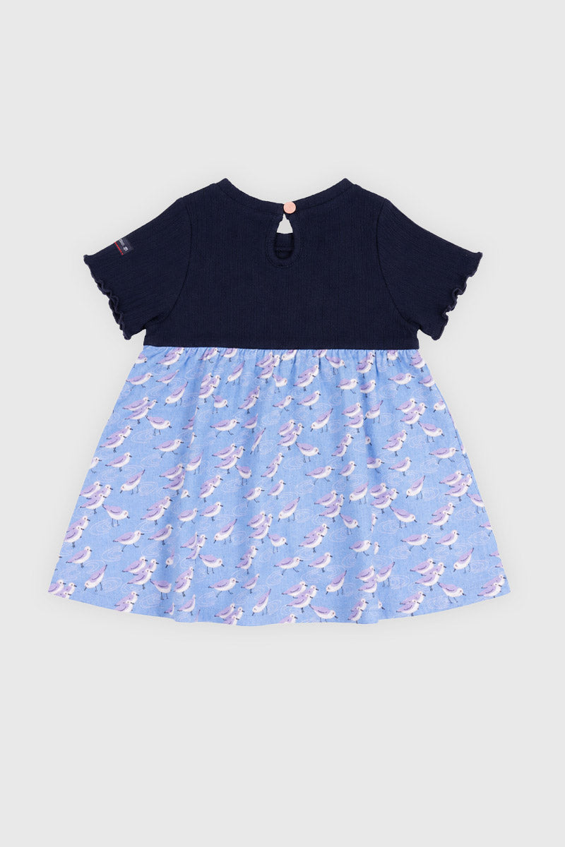 armor-lux-robe-baby-mouettes-coton-modal image 2