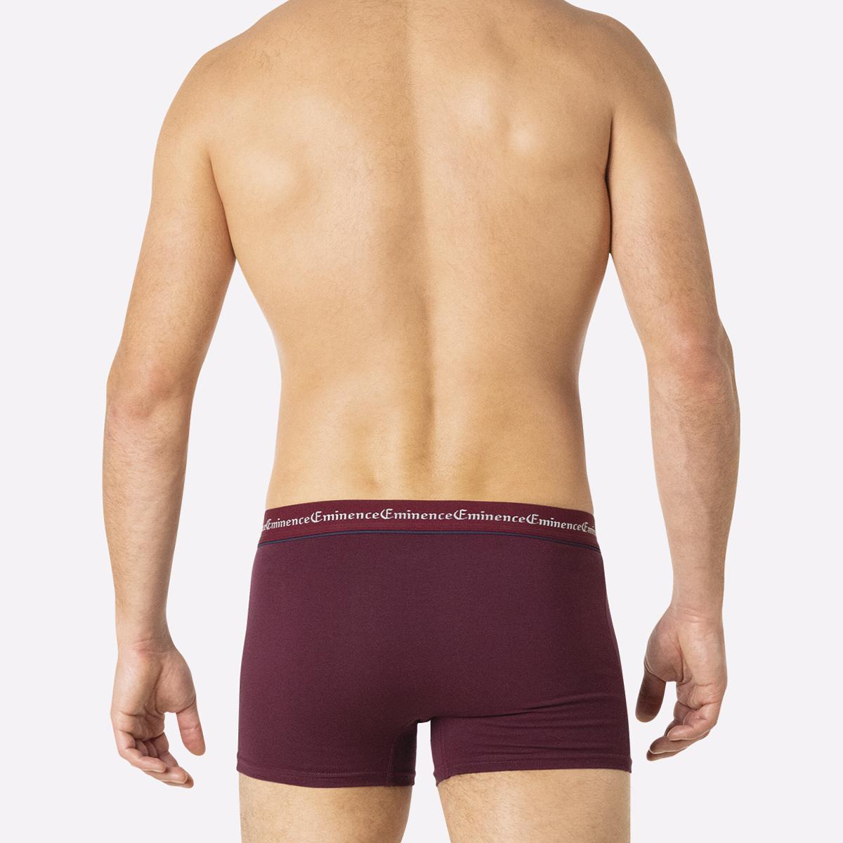 eminence-lot-de-3-boxers-homme-business image 6