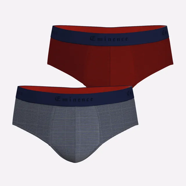 eminence-lot-de-2-slips-homme-fait-en-france-coton-stretch image 1