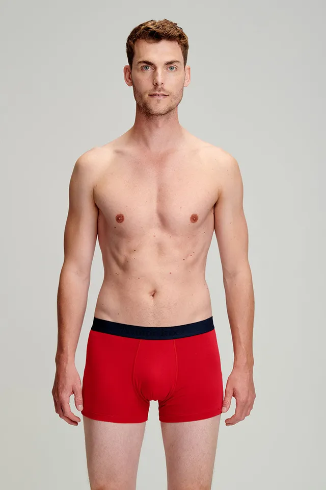 armor-lux-boxer-homme-uni-coton-biologique-l-ger image 1