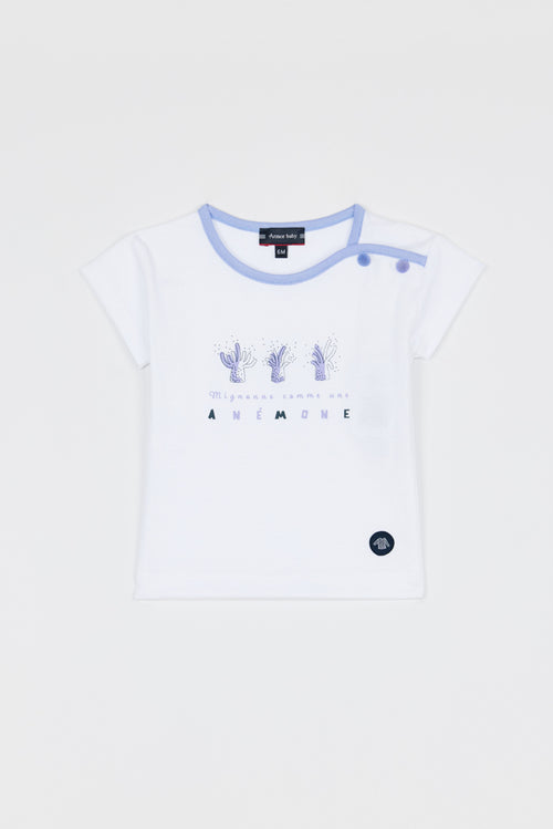 armor-lux-t-shirt-b-b-an-mones-coton-l-ger-manches-courtes image 2