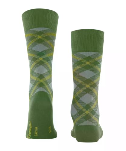 burlington-tartan-chaussettes-homme-coton-fantaisie-vert-fir-green-7656-40-46 image 7