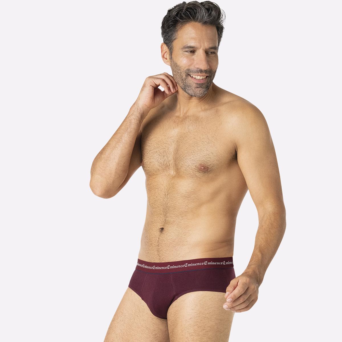 eminence-business-lot-de-3-slips-homme image 3