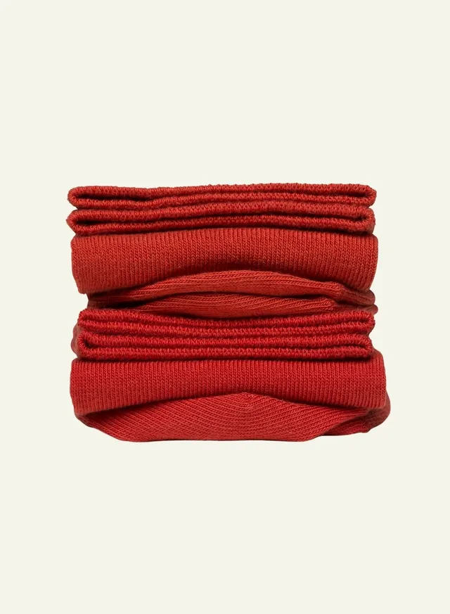 archiduchesse-rouge-brique-chaussettes-de-ville-coton-unisexe image 1