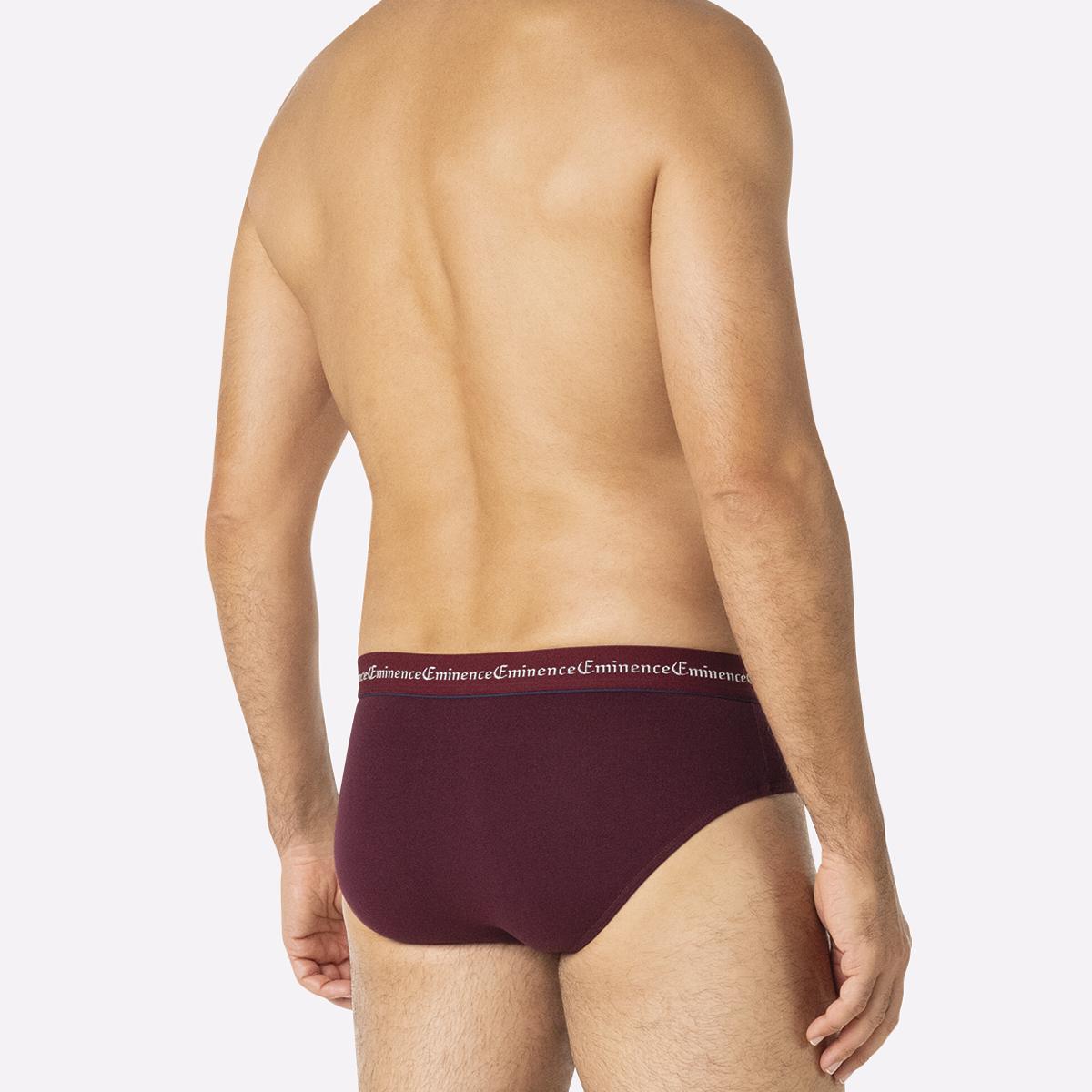 eminence-business-lot-de-3-slips-homme image 5