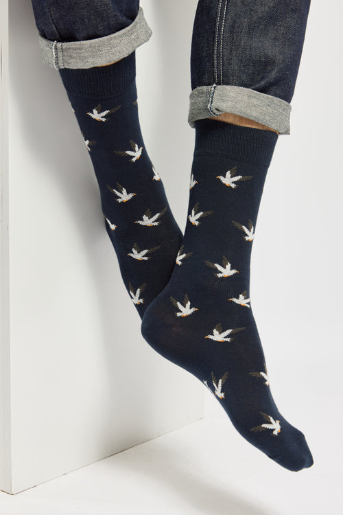 armor-lux-x-maison-broussaud-chaussettes-homme-mouette-coton image 4
