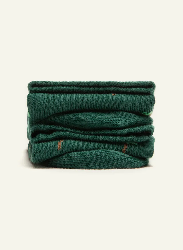 archiduchesse-coco-cool-vert-chaussettes-fantaisie-palmier-hautes image 1
