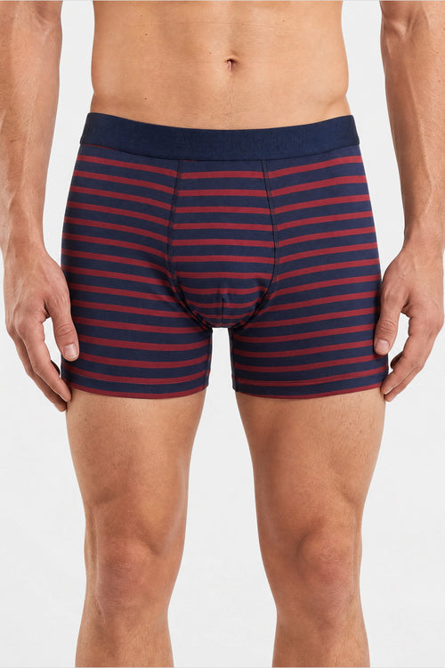 armor-lux-boxer-ray-homme-coton-bio-jersey-stretch image 3