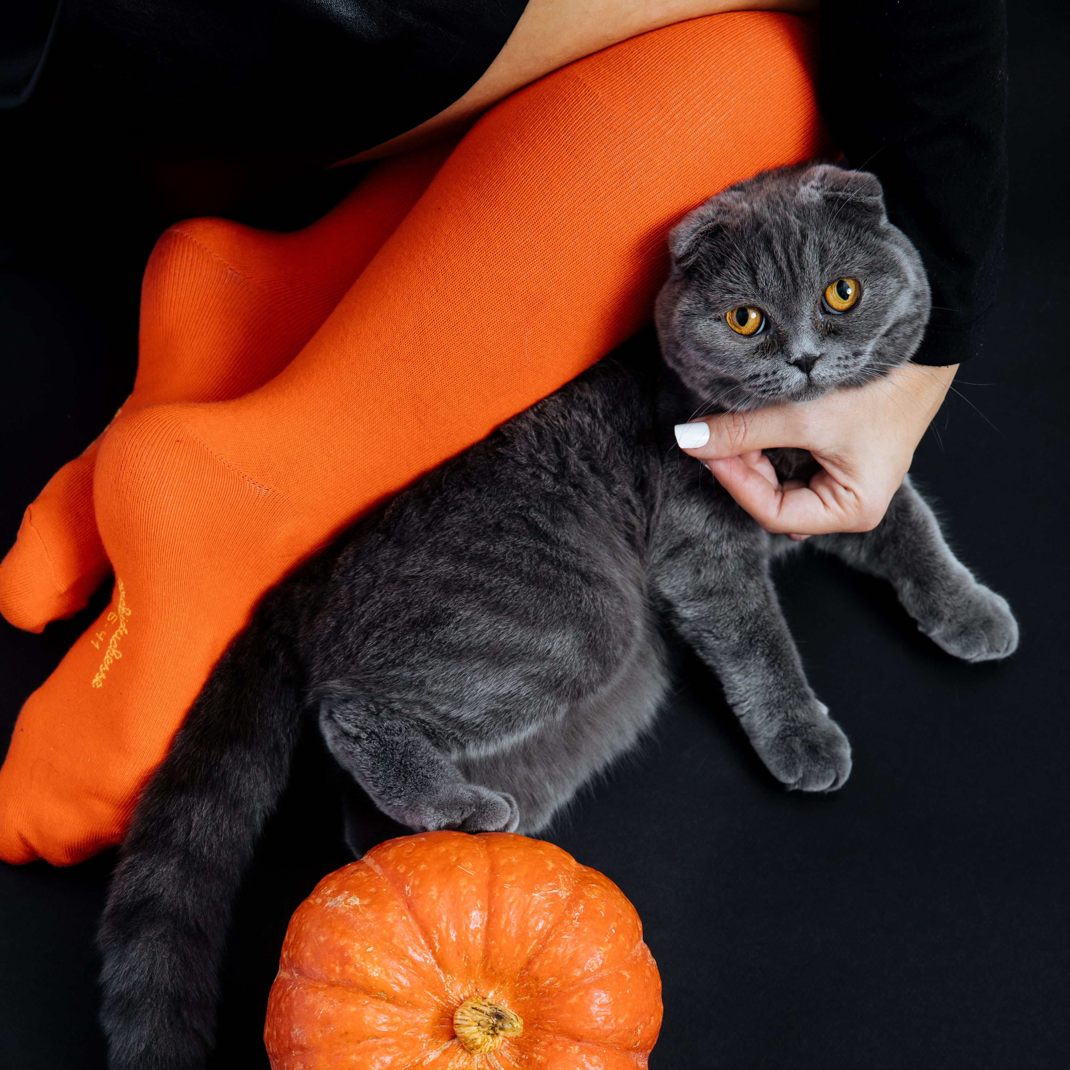 archiduchesse-de-ville-orange-citrouille-chaussettes-mi-mollet image 6