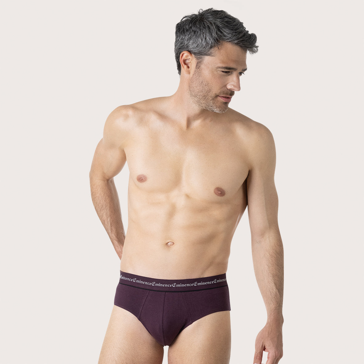 eminence-lot-de-3-slips-homme-business-coton-stretch-tailles-2-8 image 2