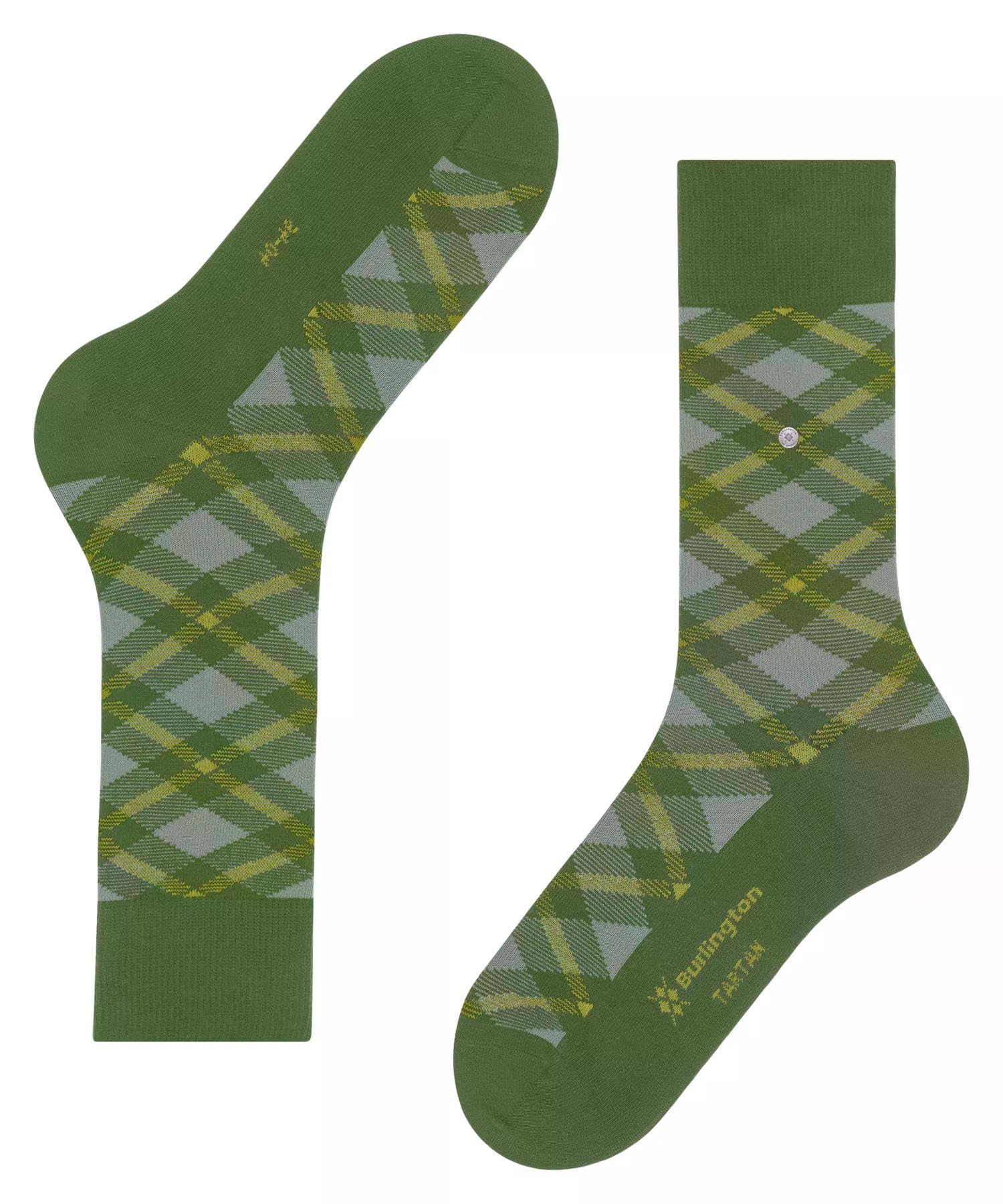 burlington-tartan-chaussettes-homme-coton-fantaisie-vert-fir-green-7656-40-46 image 5