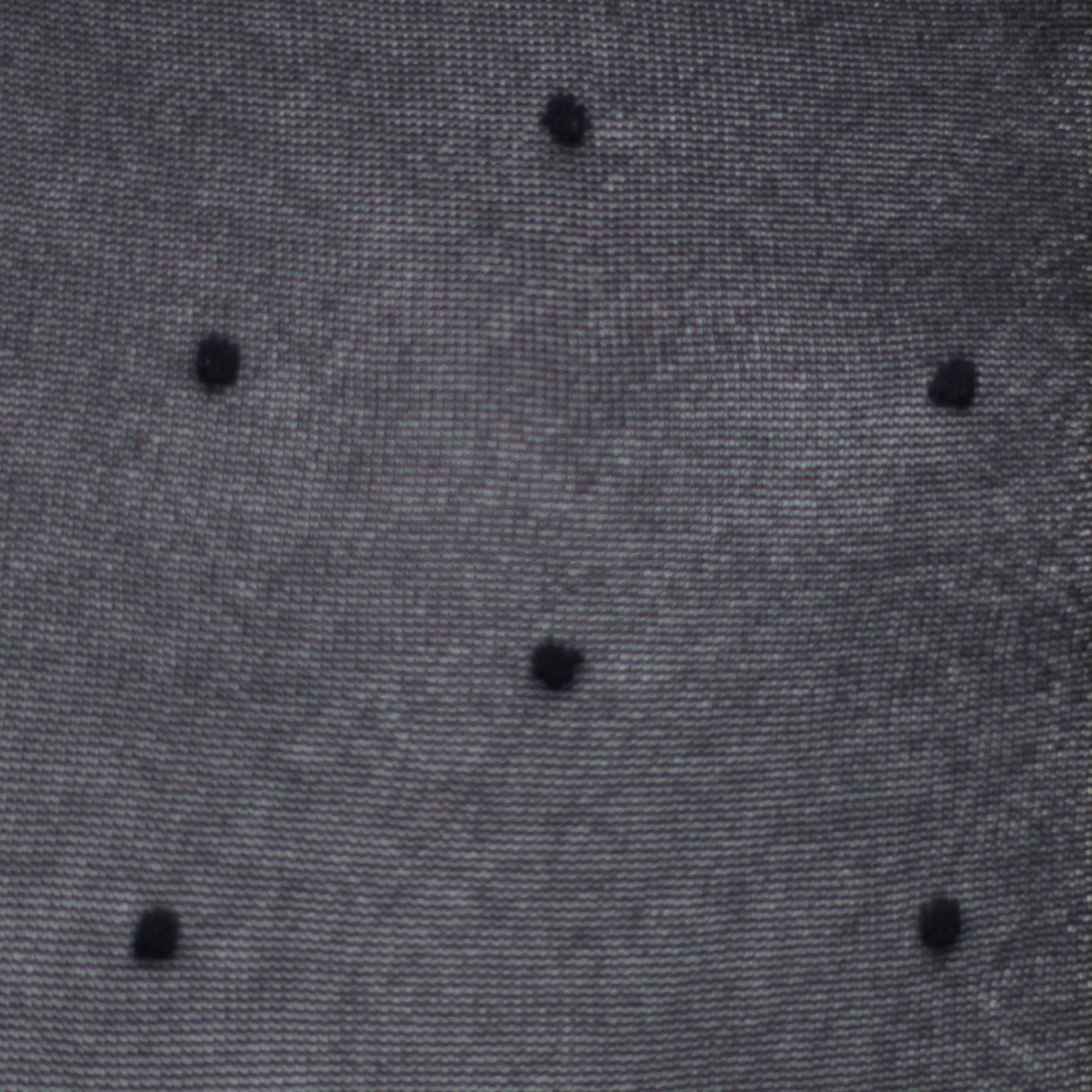 archiduchesse-plumetis-recycl-collant-20-deniers-noir-transparent image 3