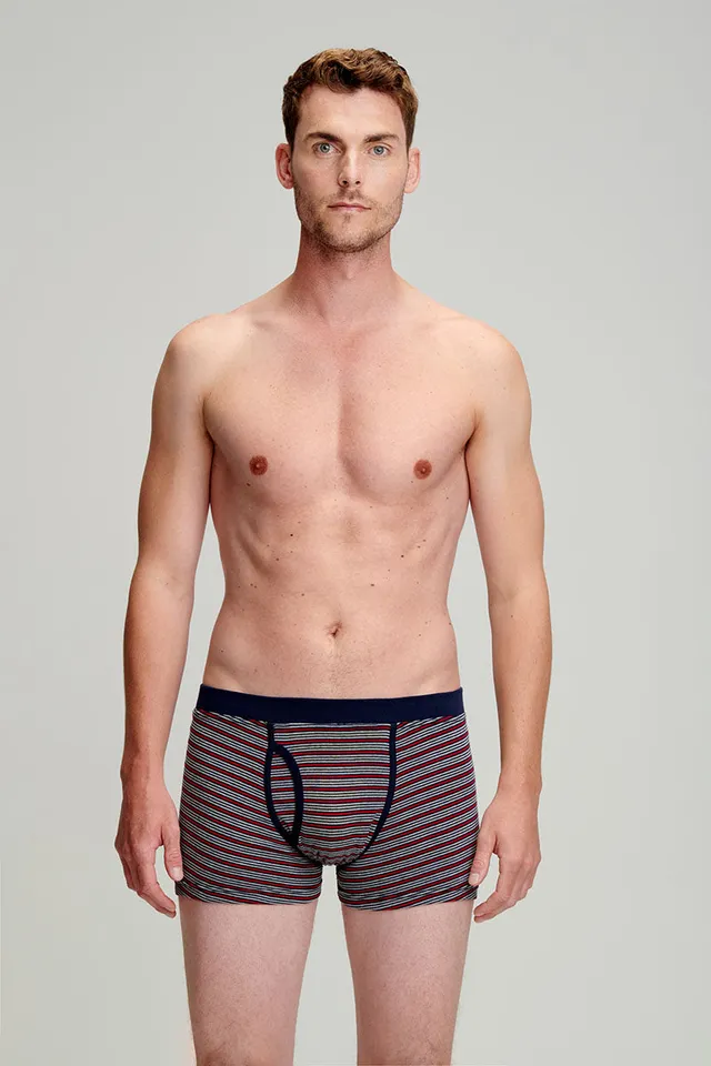 armor-lux-boxer-ray-ouvert-homme-coton-biologique-l-ger image 1