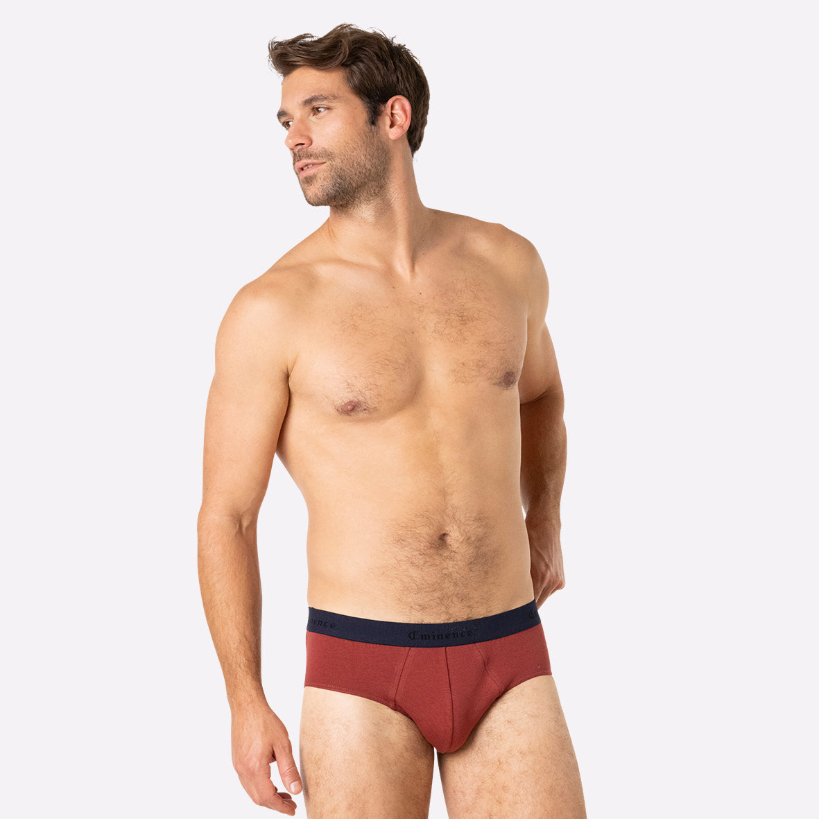 eminence-lot-de-2-slips-homme-fait-en-france-coton-stretch image 4