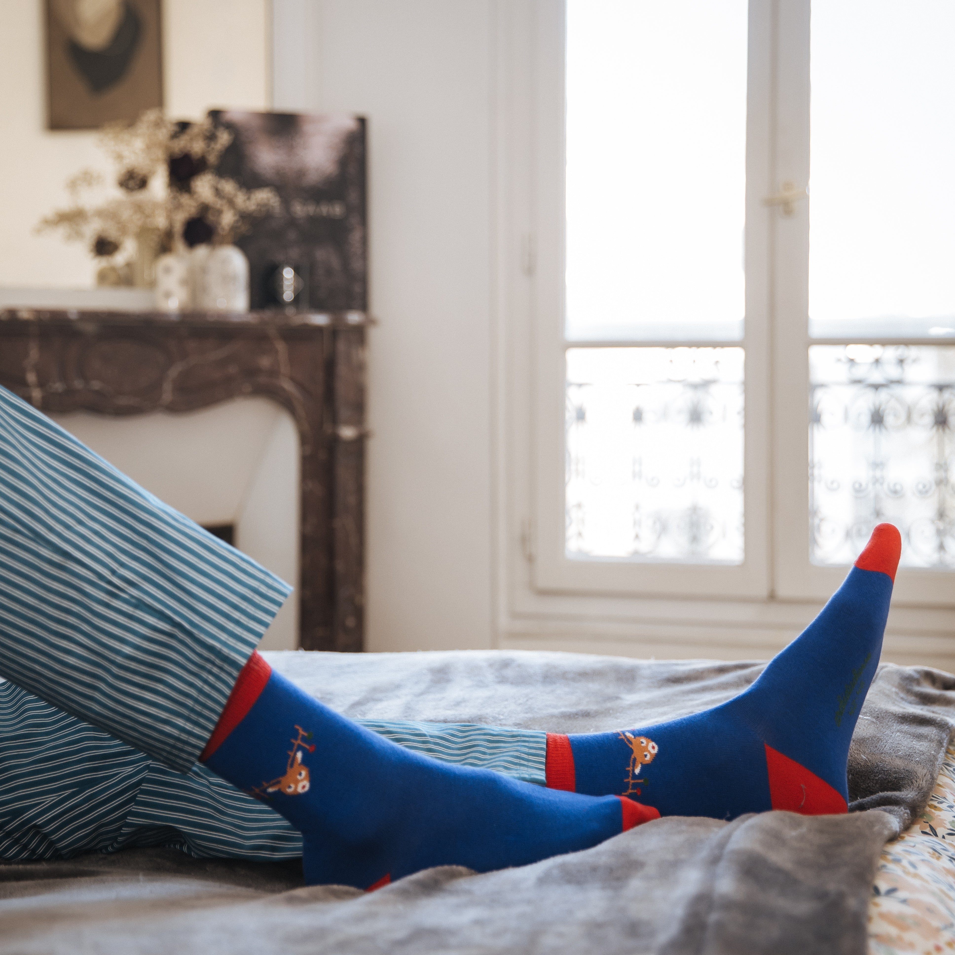 archiduchesse-rudolph-et-ses-boules-chaussettes-fantaisie-no-l image 4
